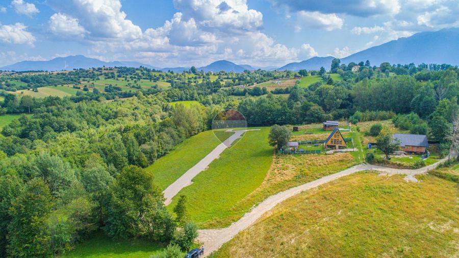 Teren Construcții intravilan de 500 mp, în Tohănița