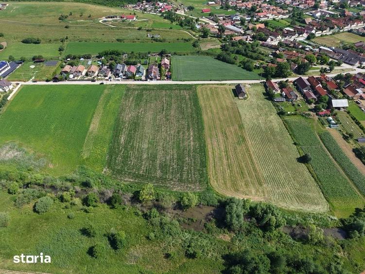 Teren de 10000 mp, în Feldioara