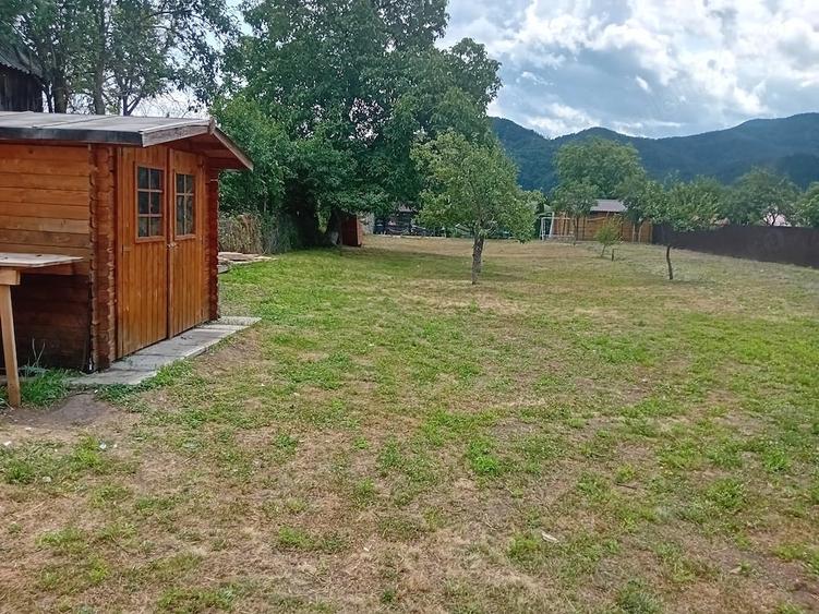 Casă cu Teren 1450 Mp în Viișoara