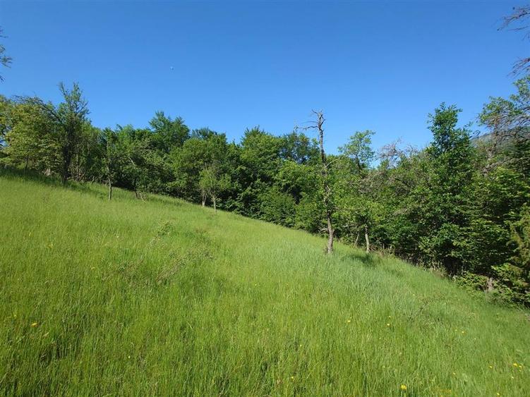 Casă individuală cu 3 camere cu Teren 13500 Mp în Blăjeni
