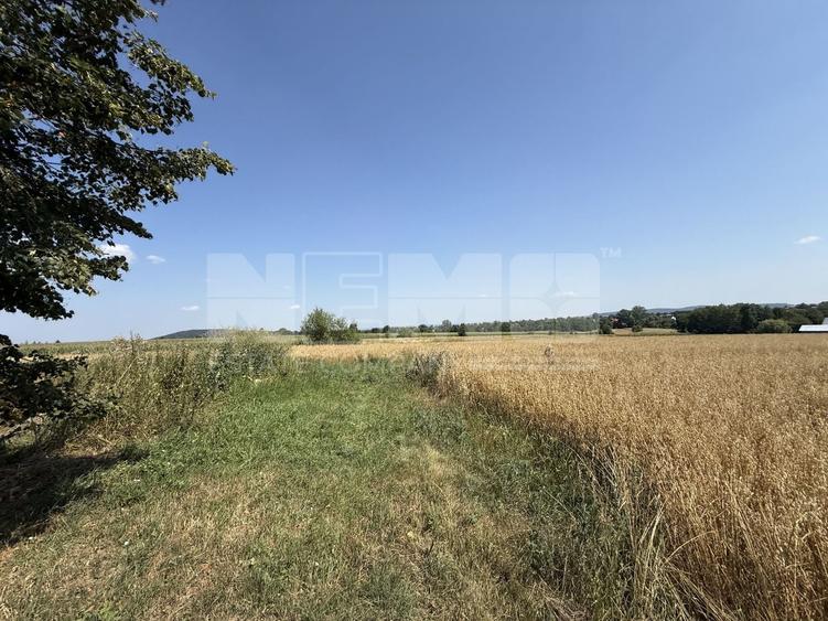 Teren Construcții intravilan de 7719 mp, în Horodnic de Sus