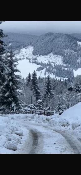 Teren de 6000 mp, în Ortoaia