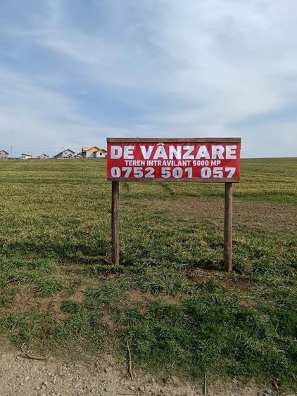 Teren de 5000 mp, în Exterior Vest