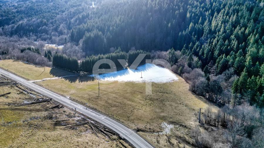 Teren Construcții extravilan de 19200 mp, în Brădet