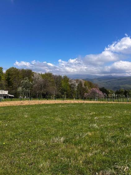 Casă cu 3 camere în Stăncilova