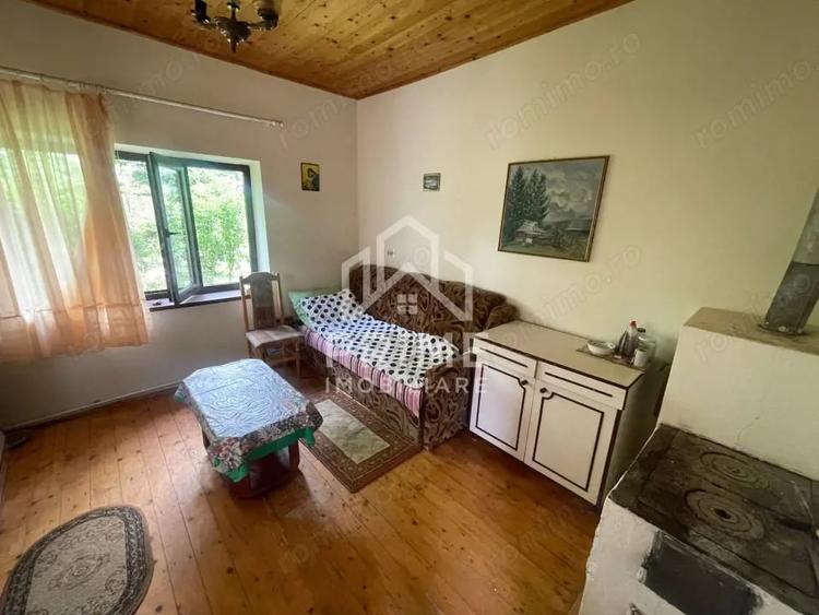Casă cu Teren 6500 Mp în Pianu