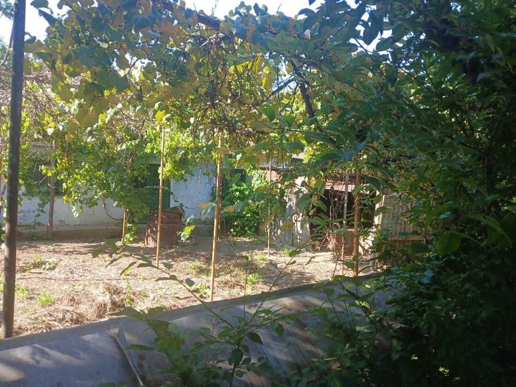 Spațiu comercial, în David