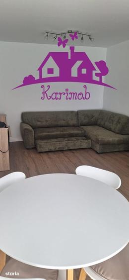 Apartament cu 2 camere în Nufărul
