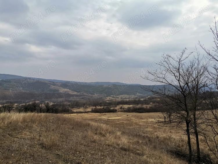 Teren de 9700 mp, în Dănulești