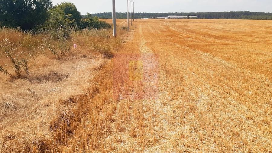 Teren de 2000 mp, în Brănești