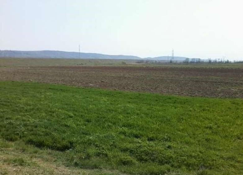 Teren agricol extravilan de 5800 mp, în Creaca