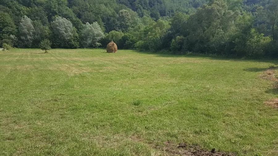 Teren de 7800 mp, în Vața de Jos