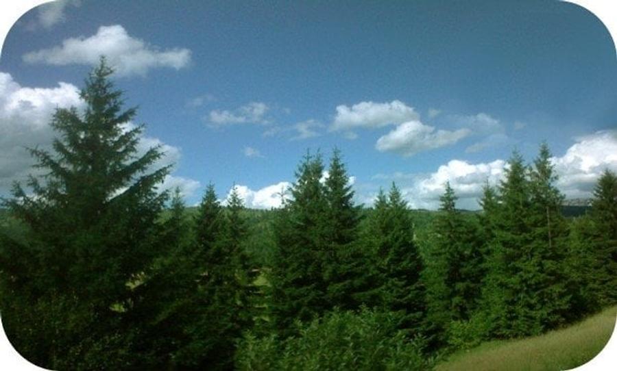 Teren extravilan de 602 mp, în Poienile de sub Munte
