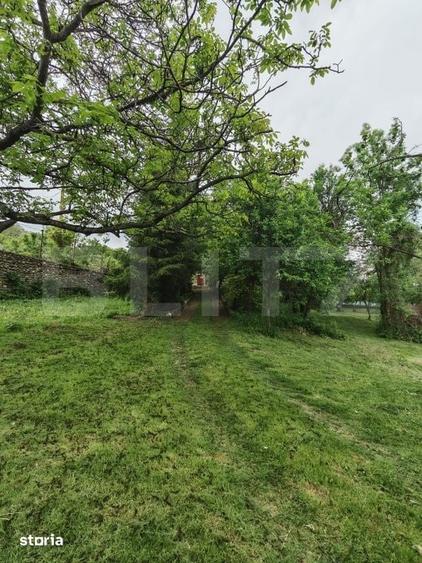 Teren de 14000 mp, în Mihai Viteazu