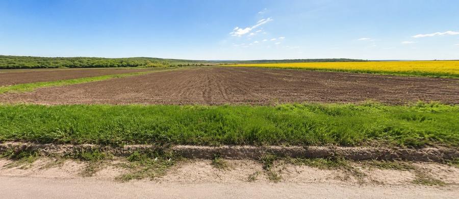 Teren agricol extravilan de 44000 mp, în Central