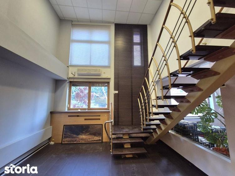 Vila spatioasa P+3E+M, curte 500mp, Herastrau-Ambasada China - 13