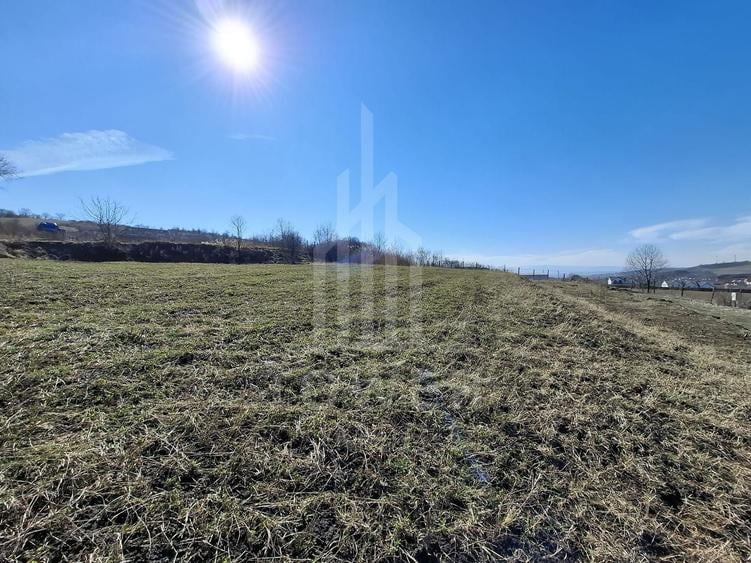 Teren Construcții intravilan de 439 mp, în Hamba