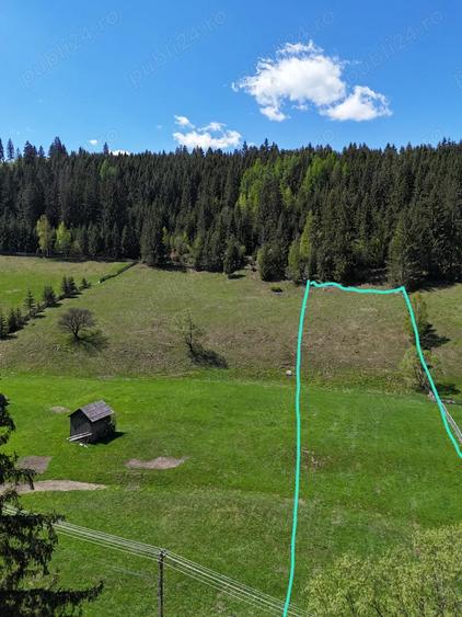 Teren de 5350 mp, în Pojorâta