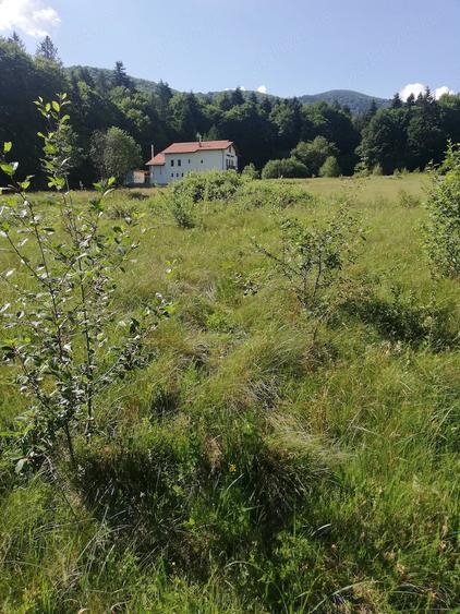 Teren de 1018 mp, în Central