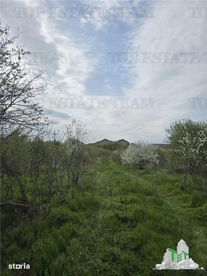 Teren de 2325 mp, în Joița
