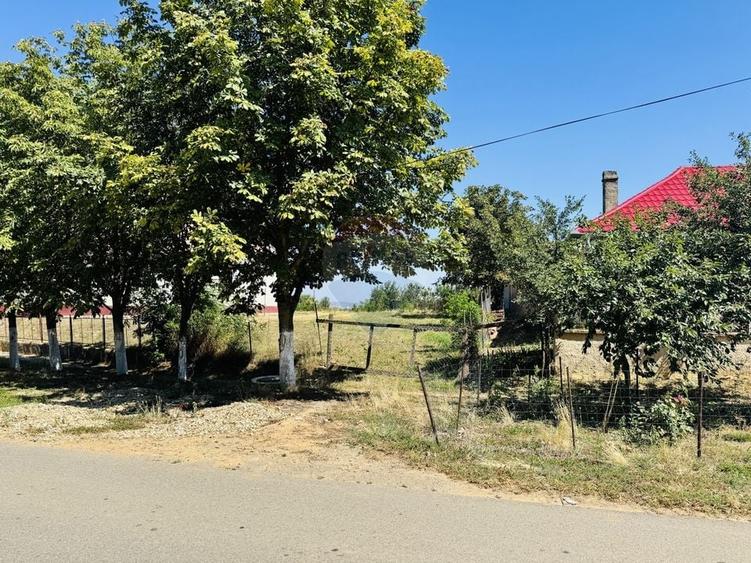 Teren Construcții intravilan de 2841 mp, în Apateu