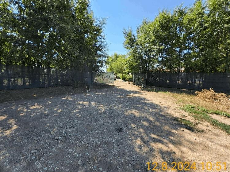 Teren Construcții intravilan de 370 mp, în Frumușani