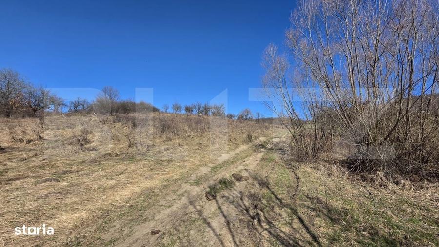 Teren de vanzare de 8,567MP in zona: Tarpiului - 2