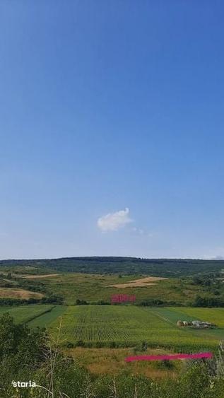 Teren intravilan Goruni-Tomesti - 1