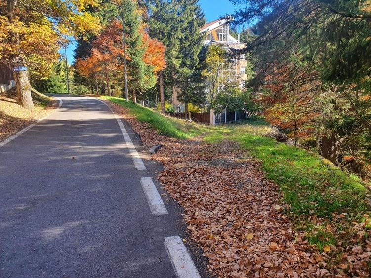 Teren Construcții intravilan de 2000 mp, în Poiana Brașov