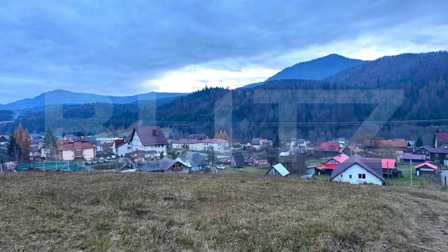 Teren Construcții intravilan de 2500 mp, în Colibița
