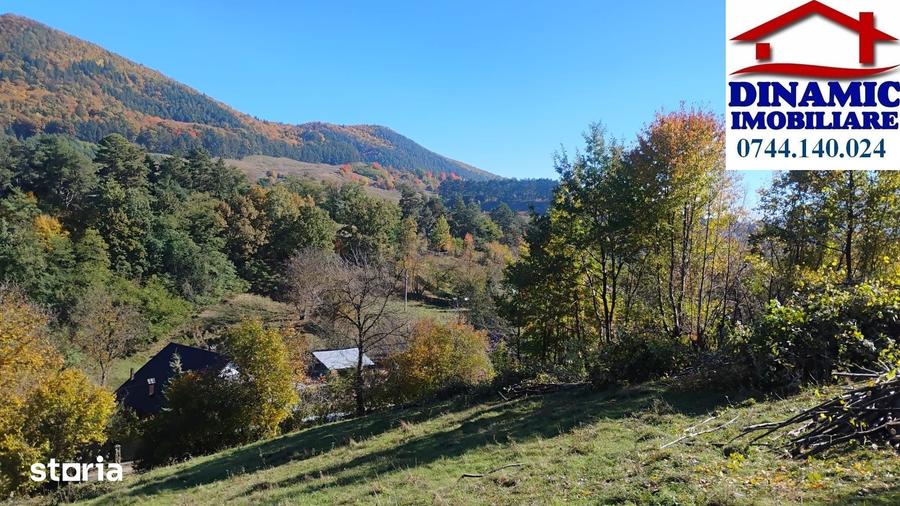Teren de 3600 mp, în Alexandru cel Bun