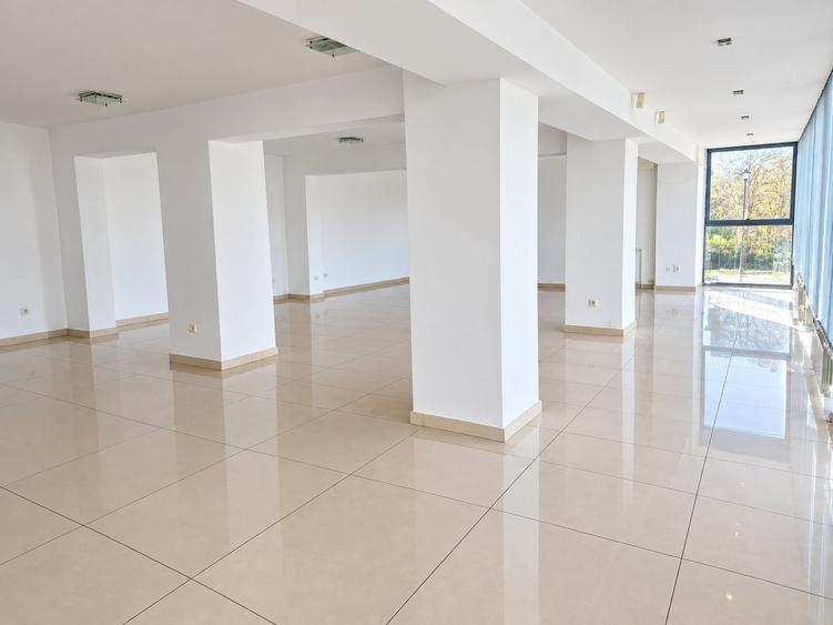 Spațiu comercial, de 203 mp, în Țiglina 1