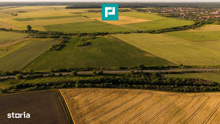 Teren de 42200 mp, în Secusigiu