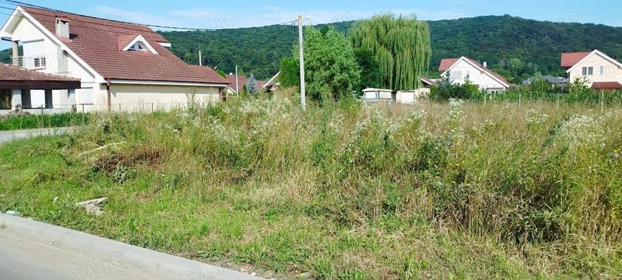 Teren de 600 mp, în Central