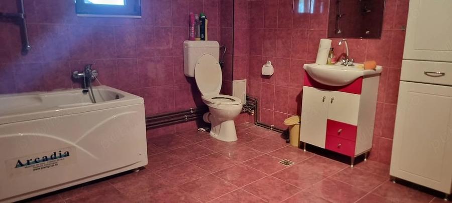 Casă cu 7 camere cu Teren 5000 Mp în Siliștea