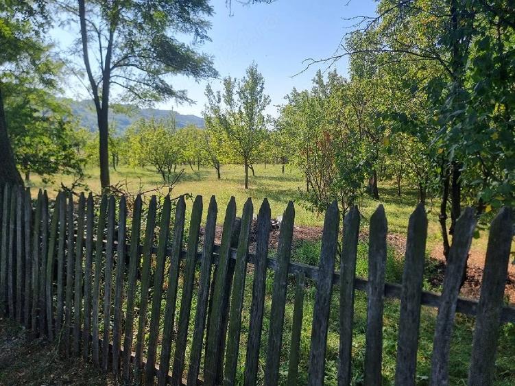 Teren de 2500 mp, în Măneciu