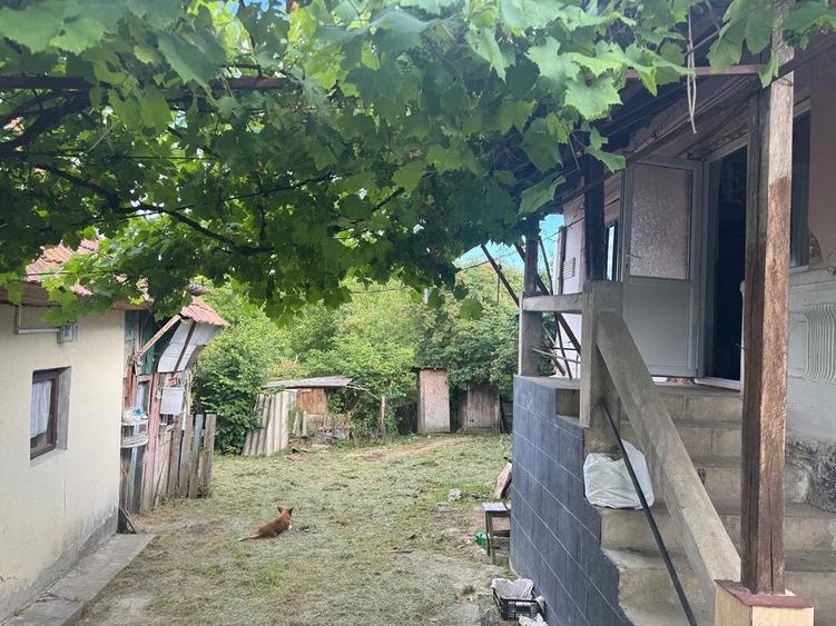 Casă cu 2 camere cu Teren 1400 Mp în Central