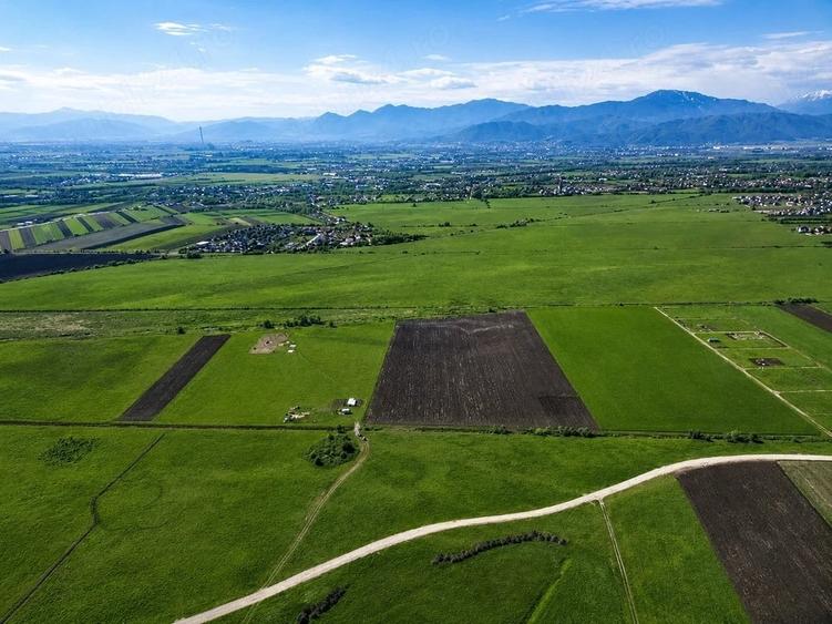Teren de 8600 mp, în Stupini