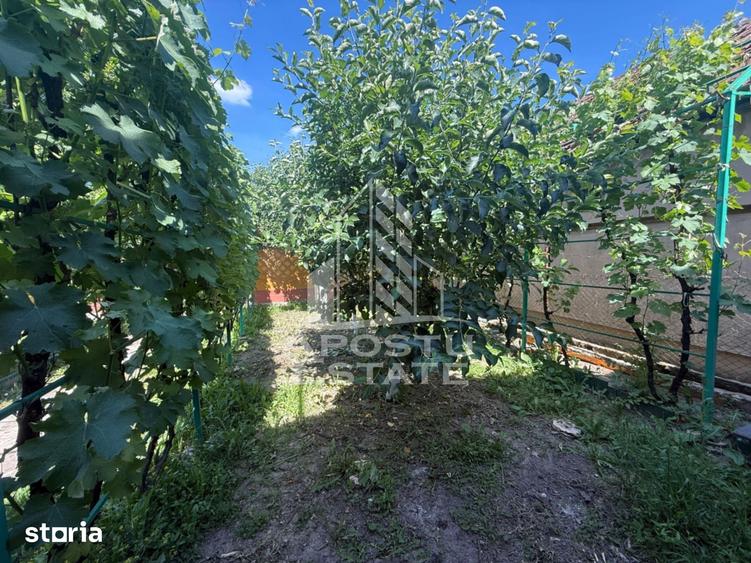 Casă cu 3 camere cu Teren 421 Mp în Plopi