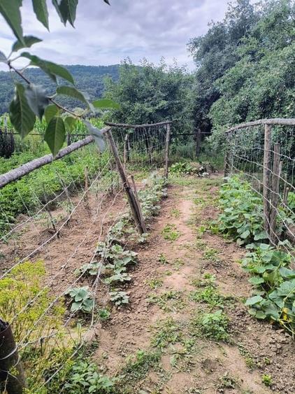 Casă individuală cu 2 camere decomandat cu Canalizare în Exterior Nord
