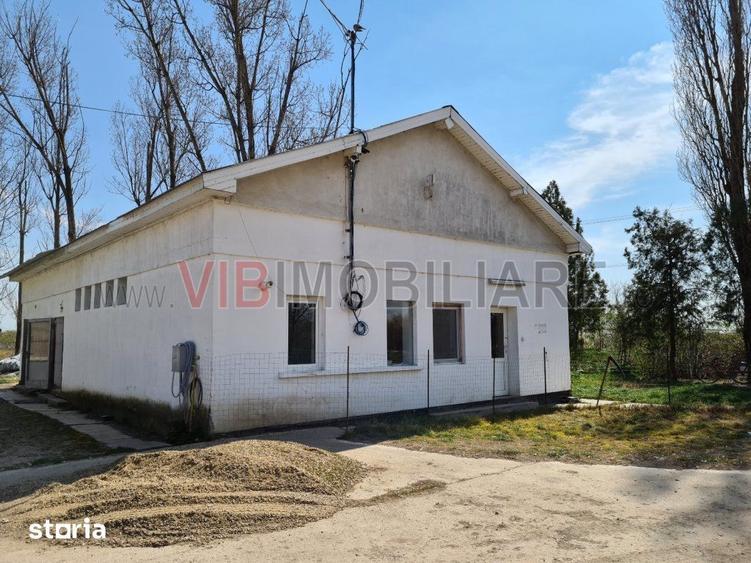 Ferma avicola populata, aparoape de Oradea - 1