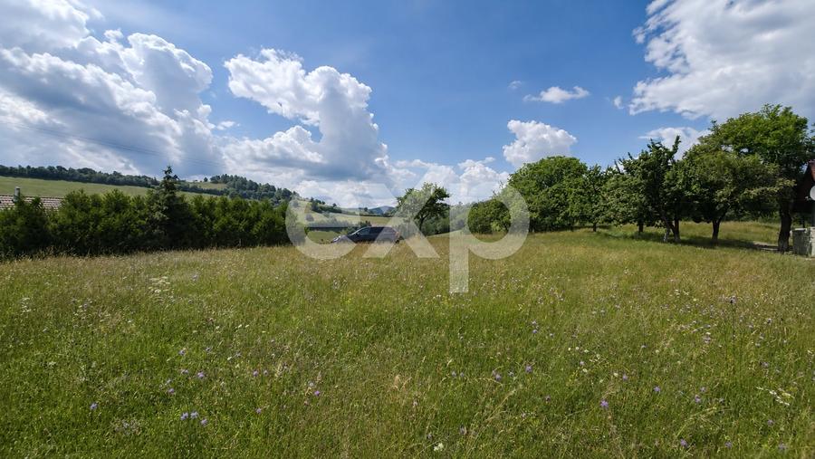 Teren agricol extravilan de 8544 mp, în Poiana Mărului