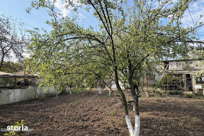 Teren de 881 mp, în Chitila