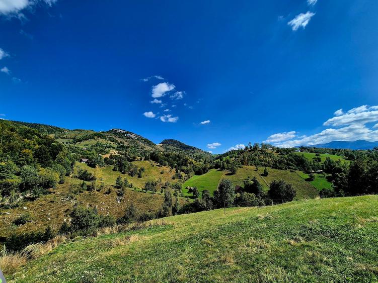 Teren Construcții intravilan de 2969 mp, în Măgura