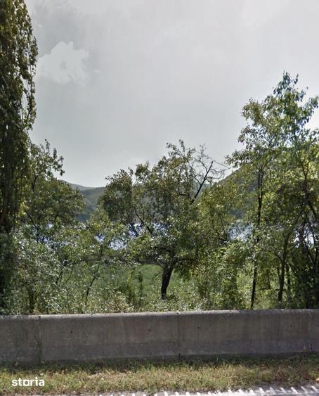 Teren de 1200 mp, în Sichevița