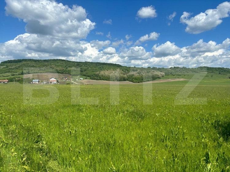 Teren Construcții extravilan de 29000 mp, în Exterior Sud