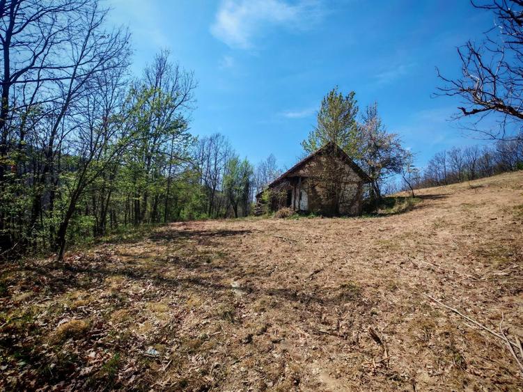 Pasune cu padure 5.5 ha sat Dumbravita Com Barzava - 3