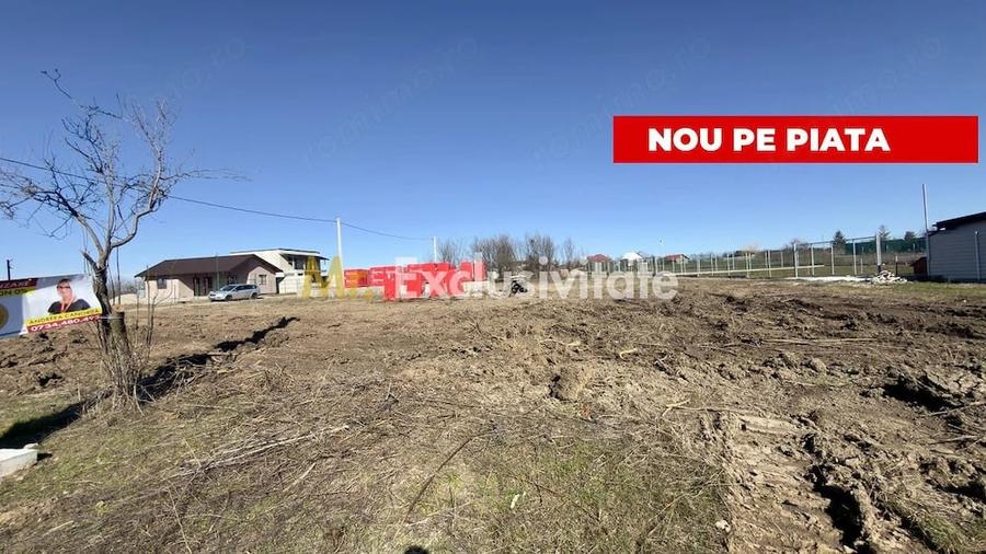 Teren de 533 mp, în Albota