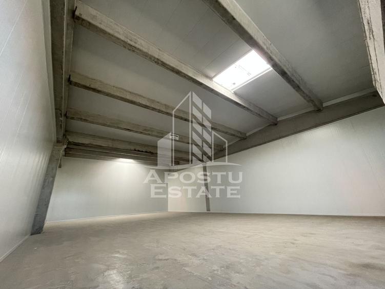 Spațiu industrial, de 523 mp, în Sânandrei