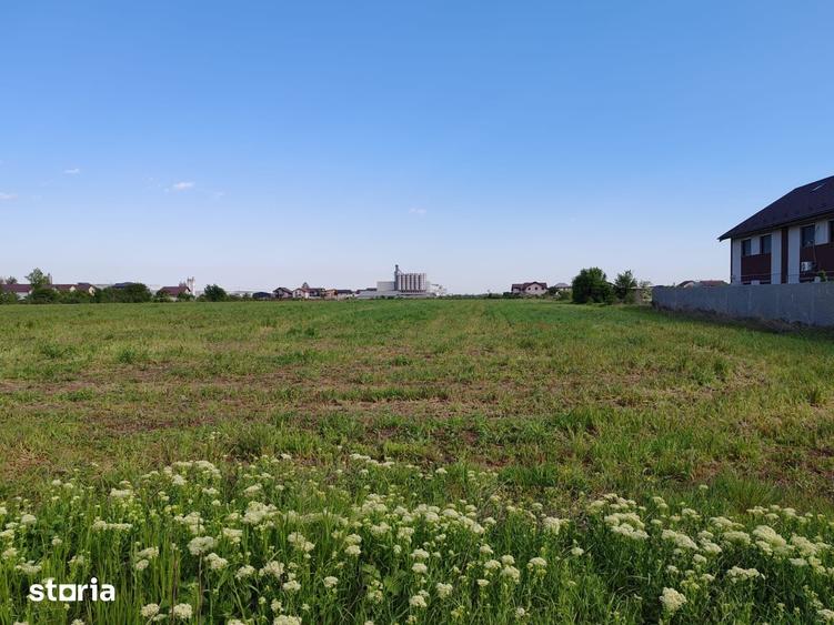 Teren de 4200 mp, în Clinceni